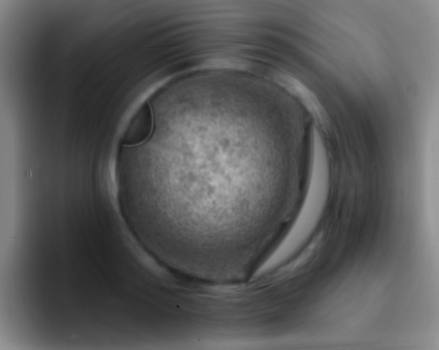 X0000092300796200709211230