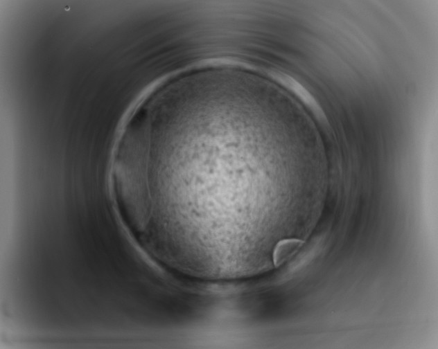 X0000092300799200709211230