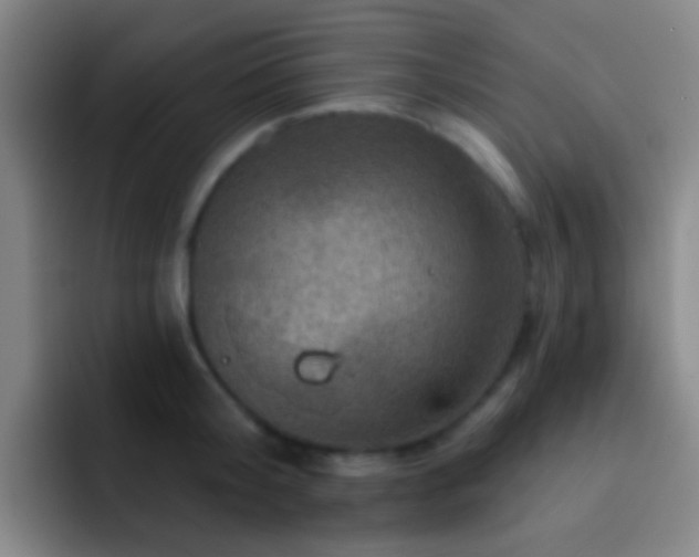 X0000092300804200709211230
