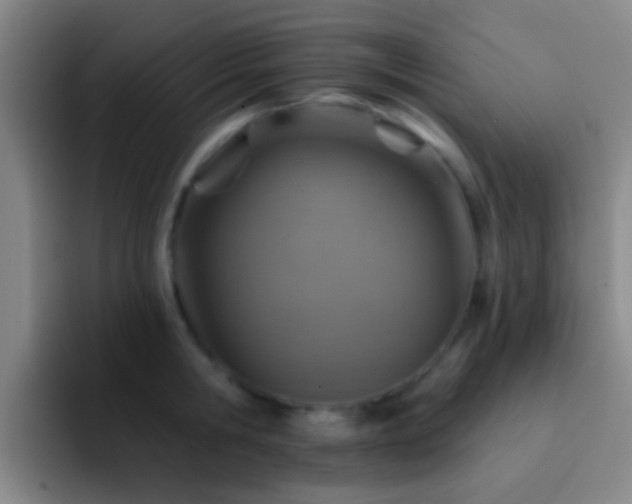 X0000092300806200709211230