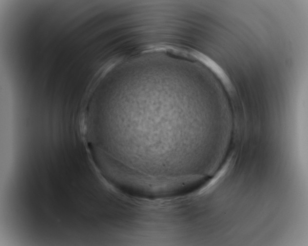 X0000092300809200709211230