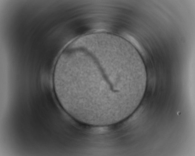 X0000092300810200709211230