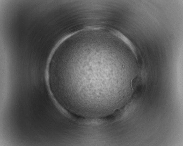X0000092300811200709211230