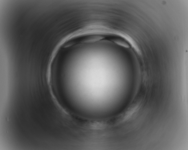 X0000092300815200709211230