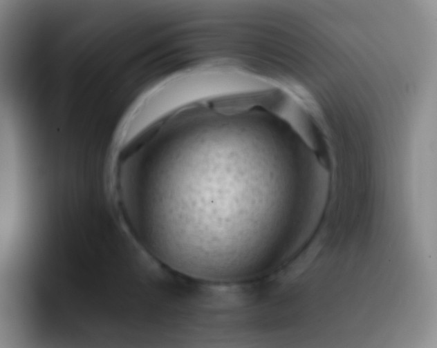 X0000092300816200709211230