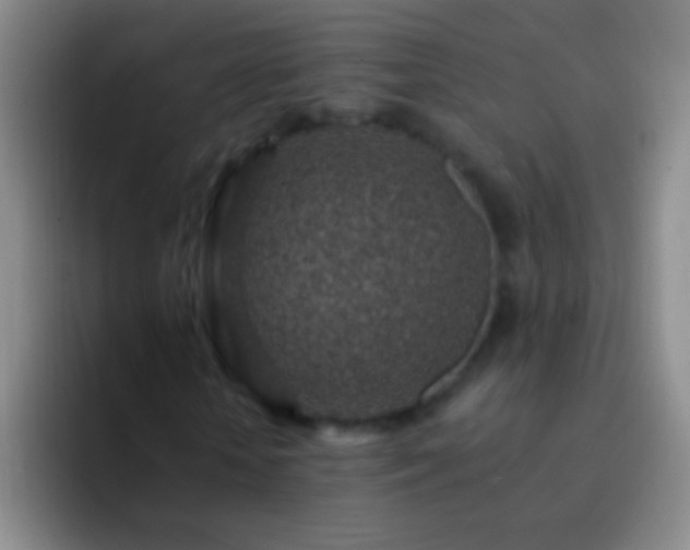 X0000092300818200709211229