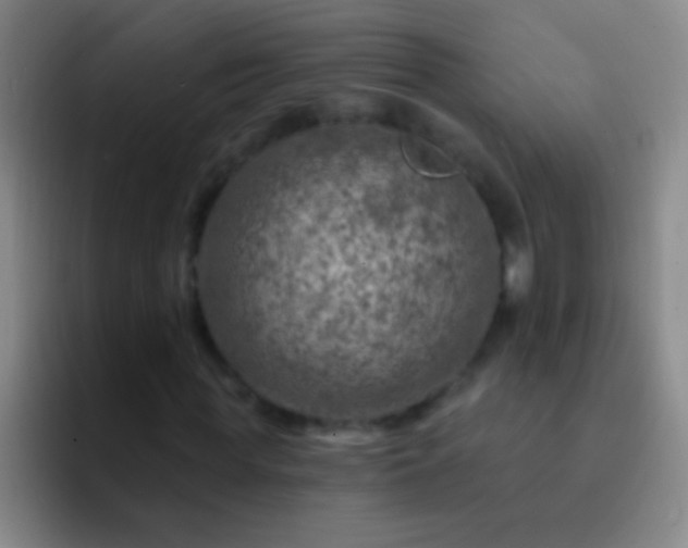 X0000092300819200709211229