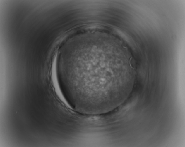 X0000092300823200709211229