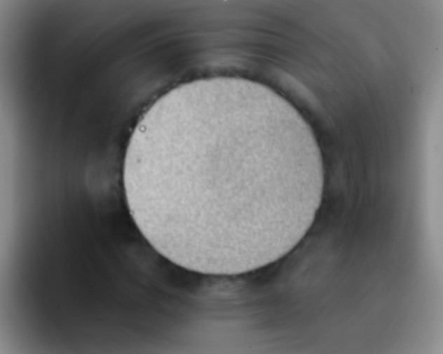 X0000092300824200709211229