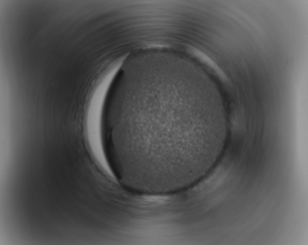 X0000092300825200709211229