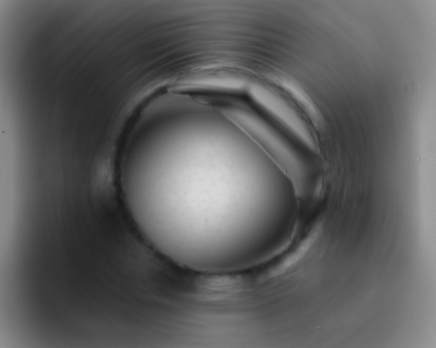 X0000092300826200709211229
