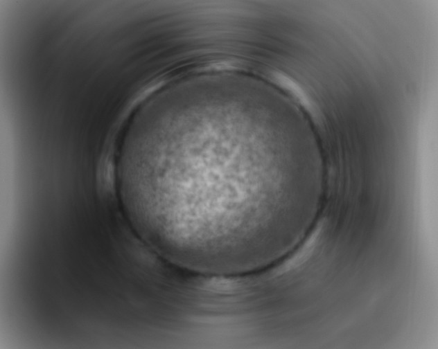 X0000092300827200709211229