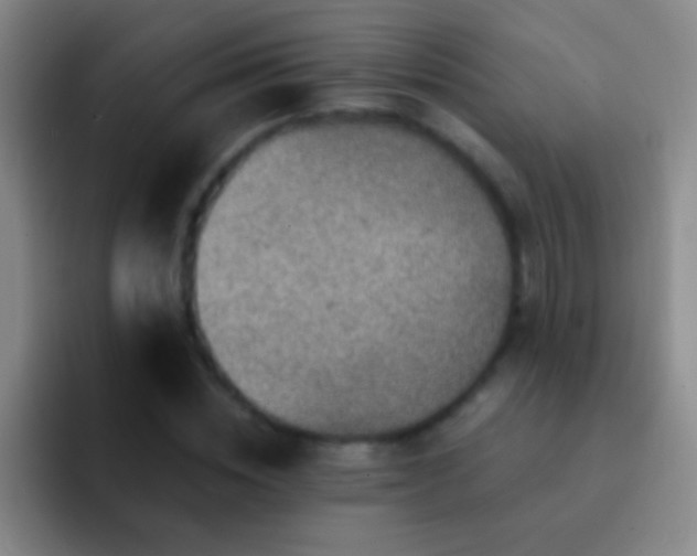 X0000092300828200709211229