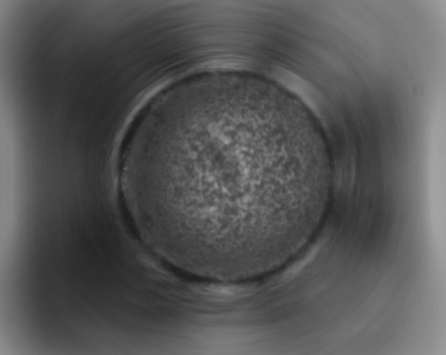 X0000092300829200709211229