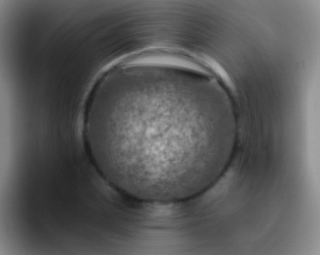 X0000092300831200709211229