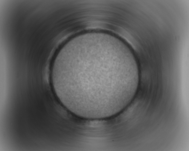 X0000092300832200709211229