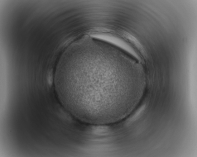 X0000092300833200709211229