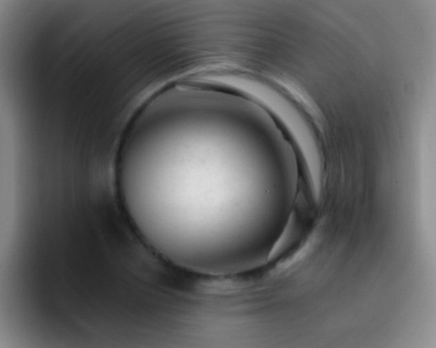 X0000092300834200709211229