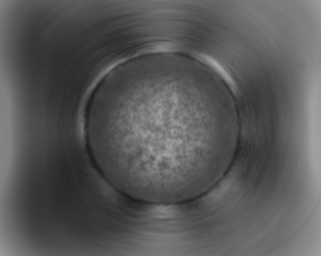 X0000092300835200709211229