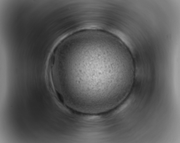 X0000092300837200709211230
