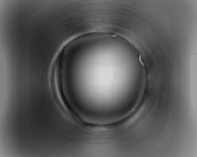 X0000092300838200709211230