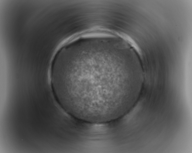 X0000092300839200709211230