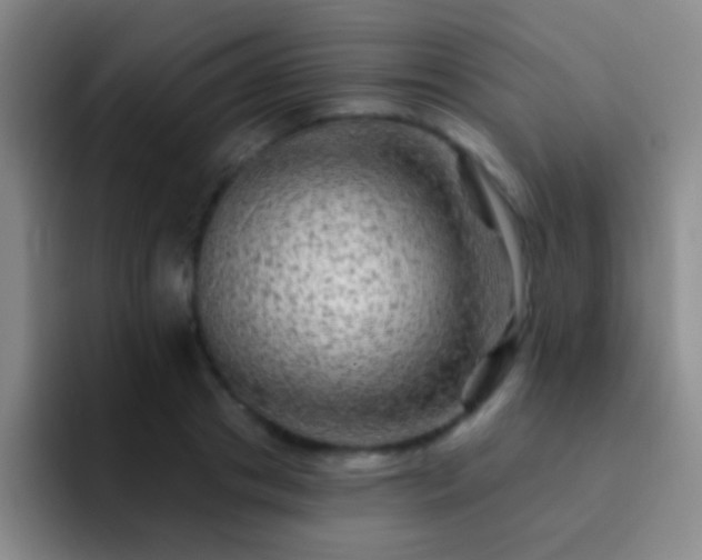 X0000092300841200709211230