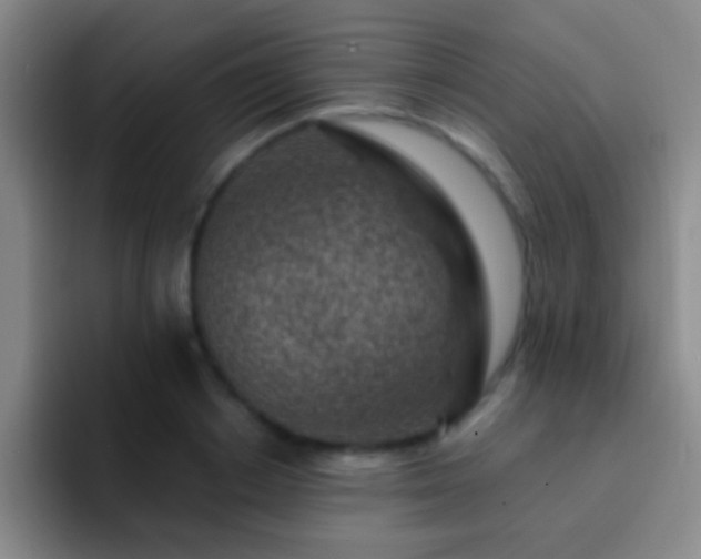 X0000092300842200709211230