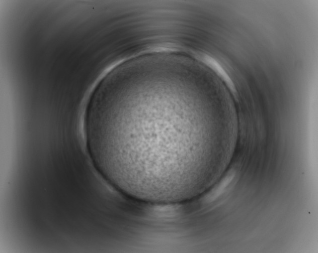 X0000092300843200709211230