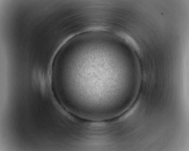 X0000092300844200709211230