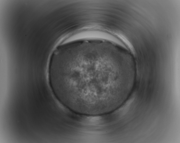 X0000092300845200709211230