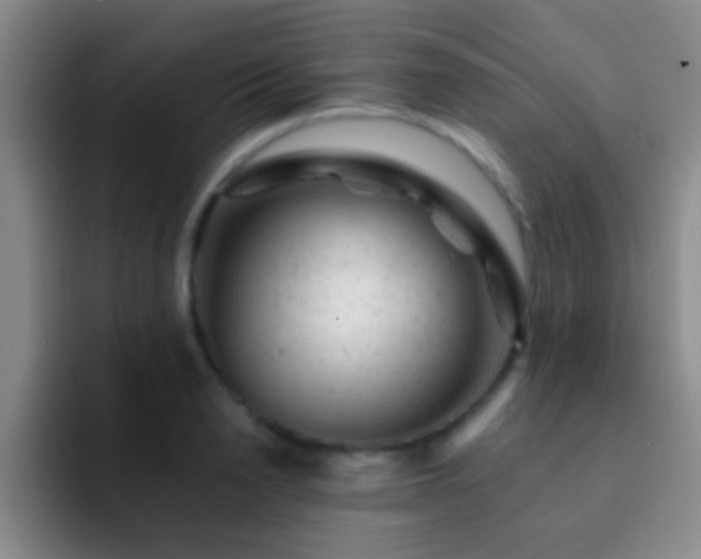 X0000092300846200709211230
