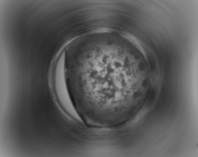 X0000092300851200709211230