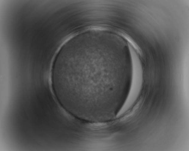 X0000092300853200709211230
