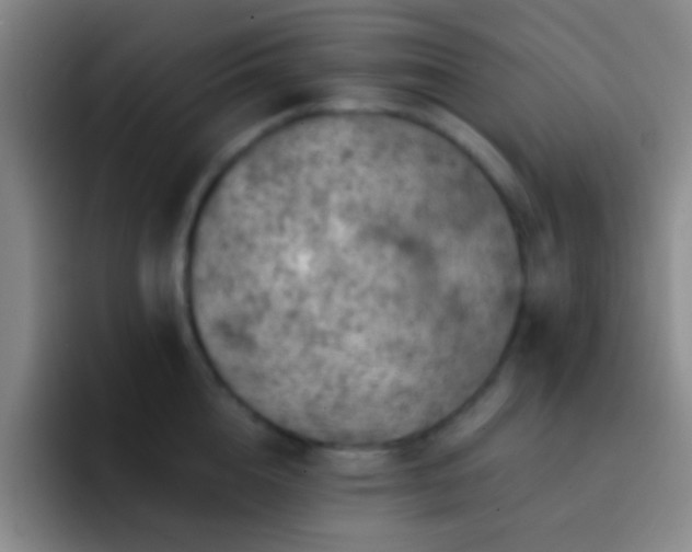 X0000092300856200709211230