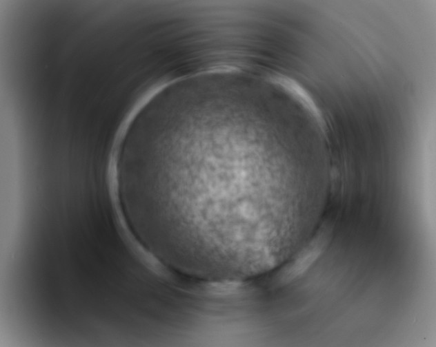 X0000092300859200709211230