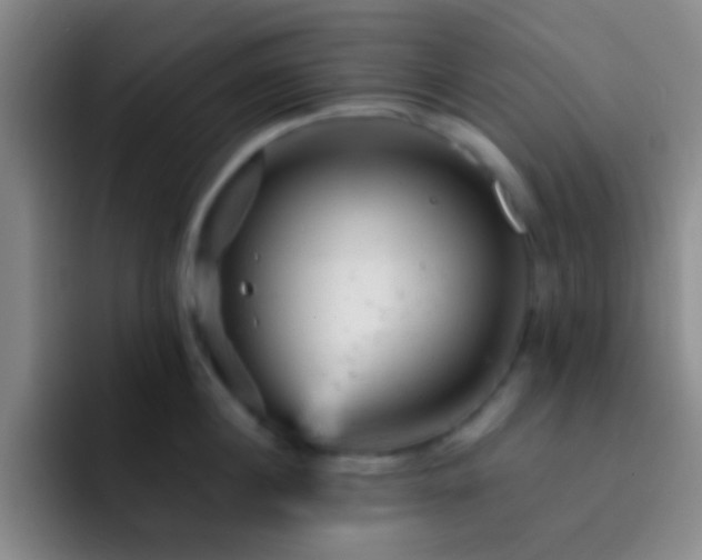 X0000092300860200709211230