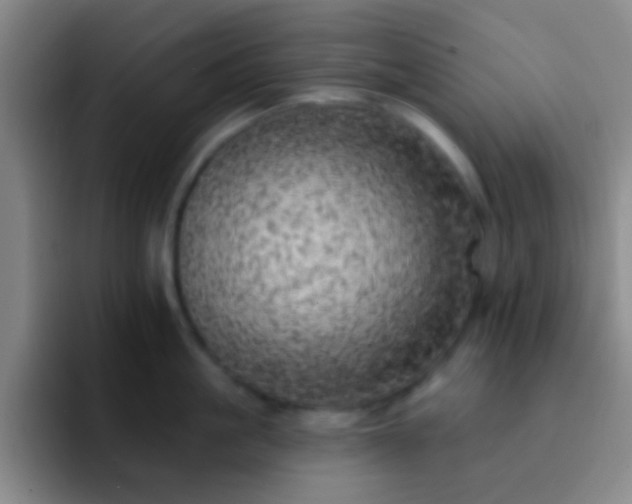 X0000092300861200709211230