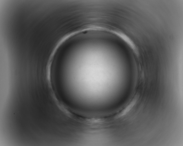 X0000092300862200709211230