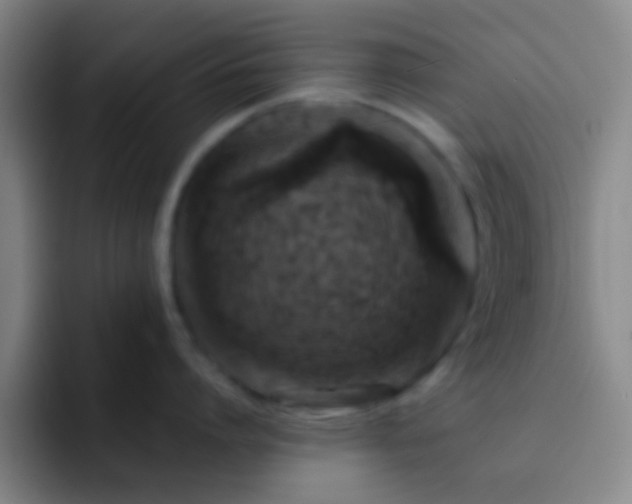X0000092300864200709211230