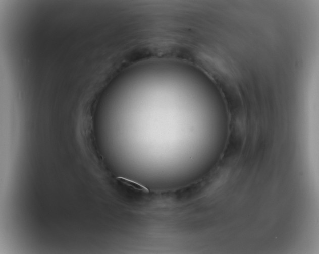 X0000092300865200709211229