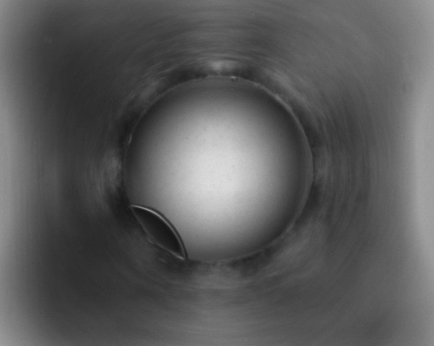 X0000092300866200709211229
