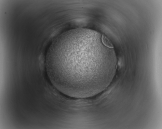 X0000092300867200709211229
