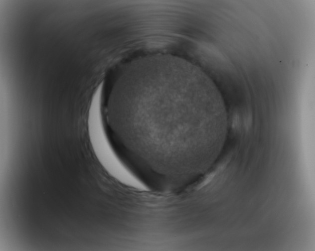 X0000092300868200709211229
