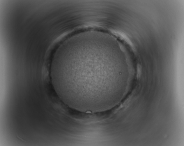 X0000092300872200709211229