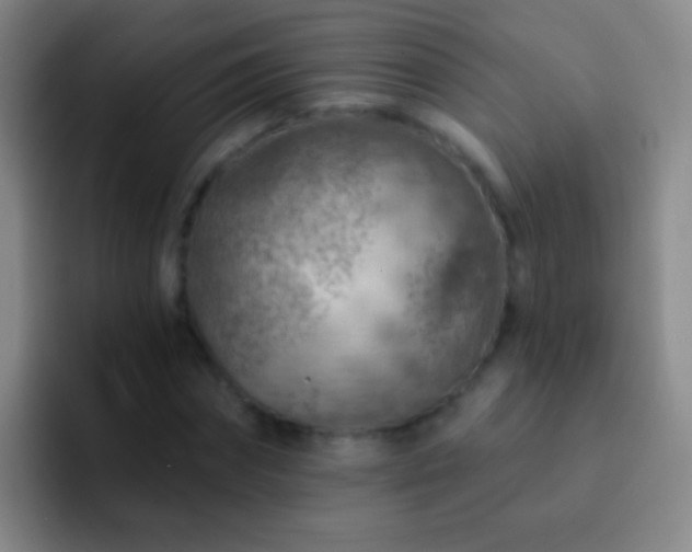 X0000092300874200709211229