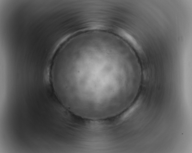 X0000092300875200709211229
