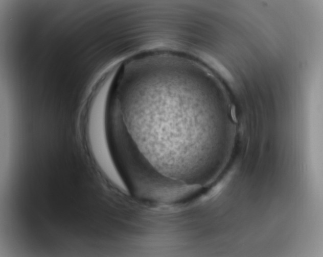 X0000092300877200709211229