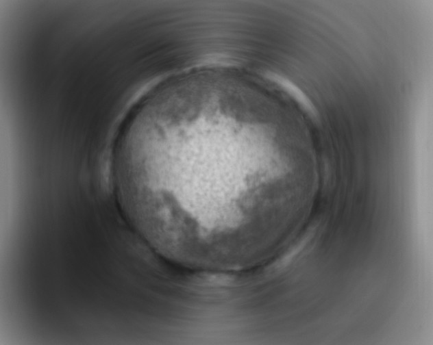 X0000092300878200709211229