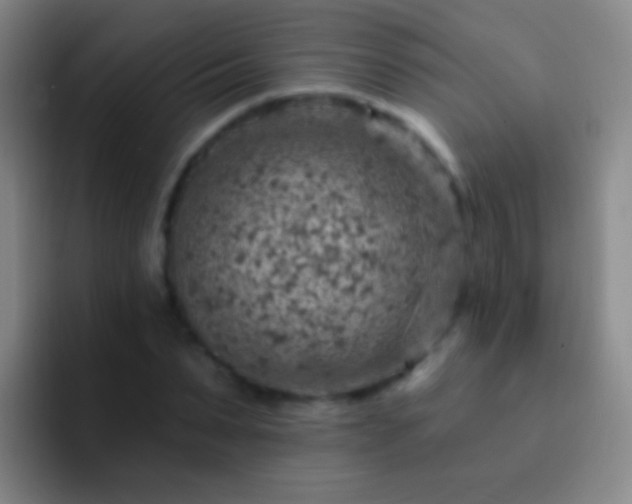 X0000092300879200709211229